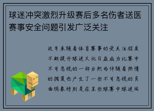 球迷冲突激烈升级赛后多名伤者送医赛事安全问题引发广泛关注